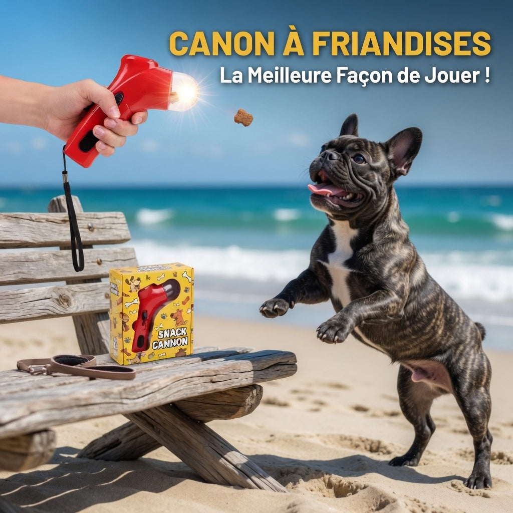 Lanceur de friandises pour chien – Jouet interactif d’entraînement