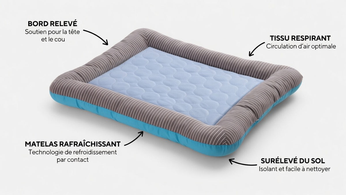 Lit rafraîchissant pour chien et chat avec rebords – Coussin été confortable