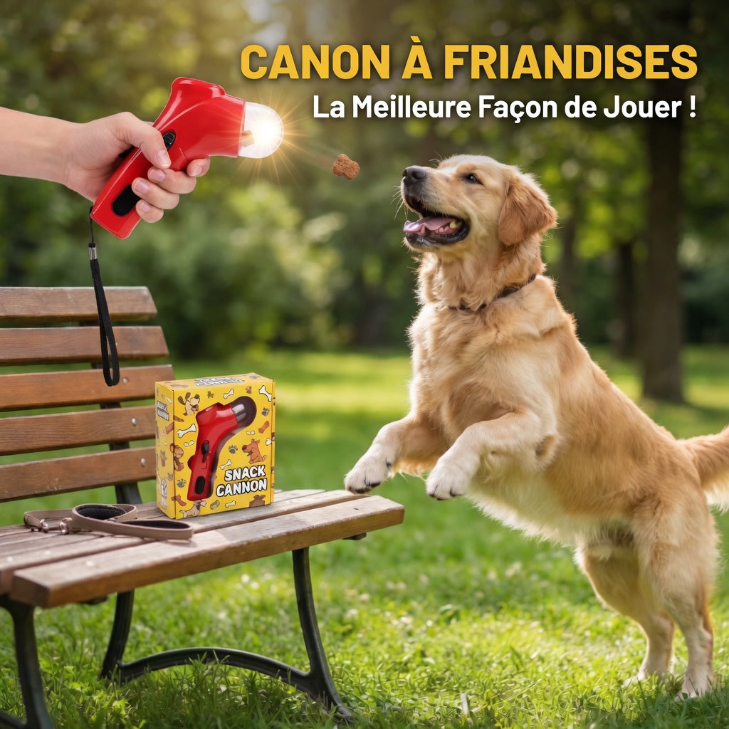 Lanceur de friandises pour chien – Jouet interactif d’entraînement