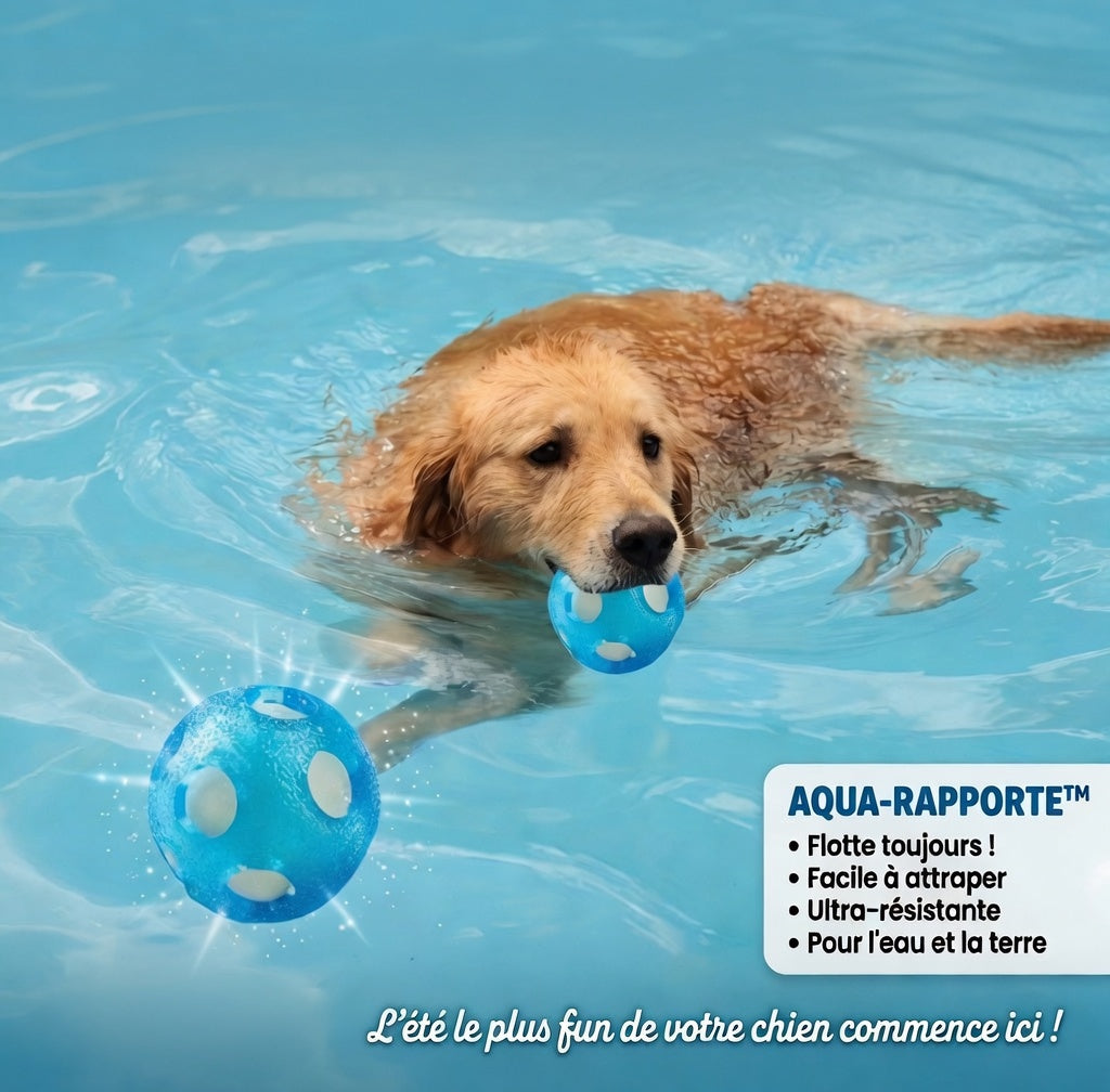 Balle flottante pour chien – Jouet aquatique résistant