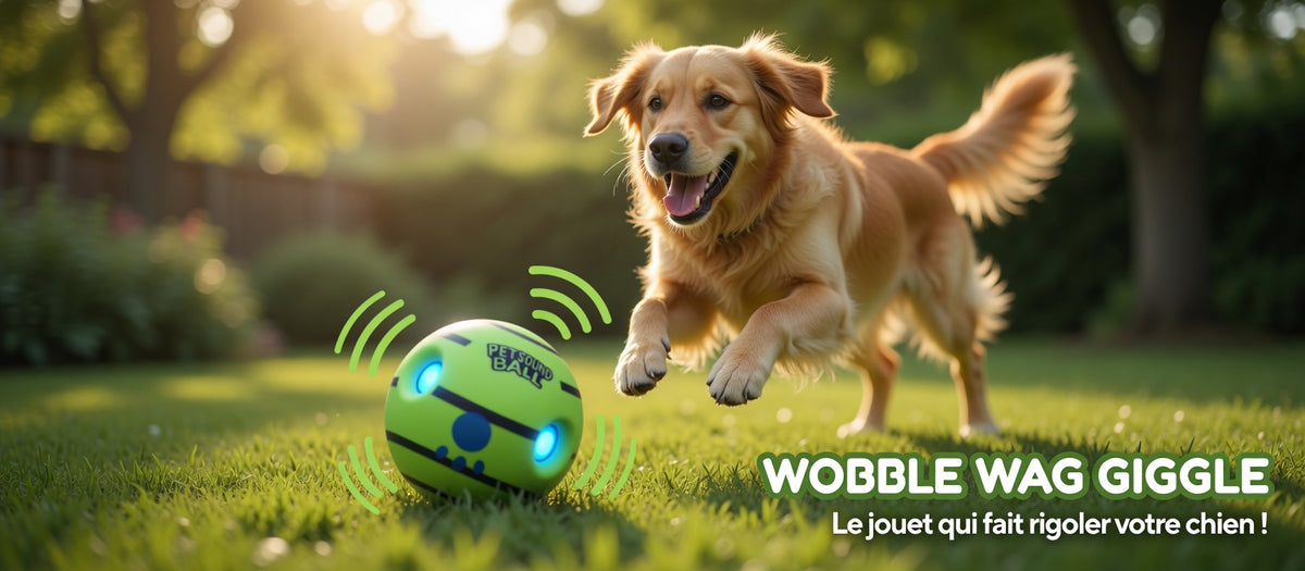 Balle interactive lumineuse pour chien – Jouet sonore Wobble Giggle