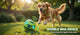 Balle interactive lumineuse pour chien – Jouet sonore Wobble Giggle
