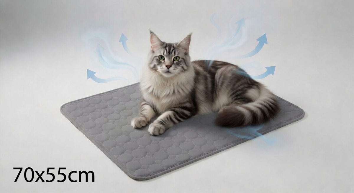 Tapis rafraîchissant pour chien et chat – Lit froid d’été pour animaux